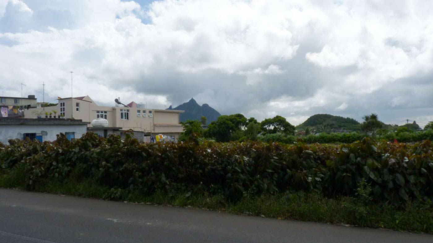0524 nouvelle découverte (mauritius)_redimensionner